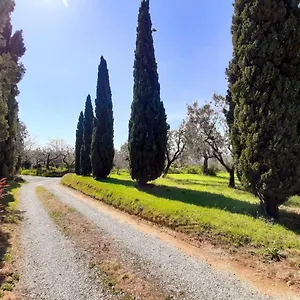  Vakantiehuis Il Palagio